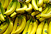 bananas malpa