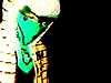 this is fly