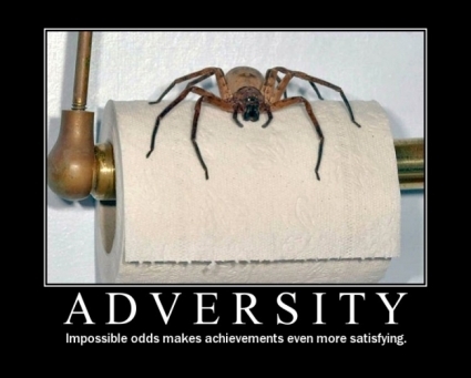 adversity01