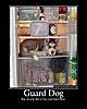 dietdog