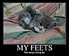 my feets
