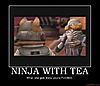 ninja with tea brawl ninja sheik zelda fox starfox subspace demotivational poster 1201830401