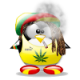 smokin's Avatar