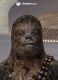 chewbacca