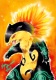 Typhlosion_'s Avatar